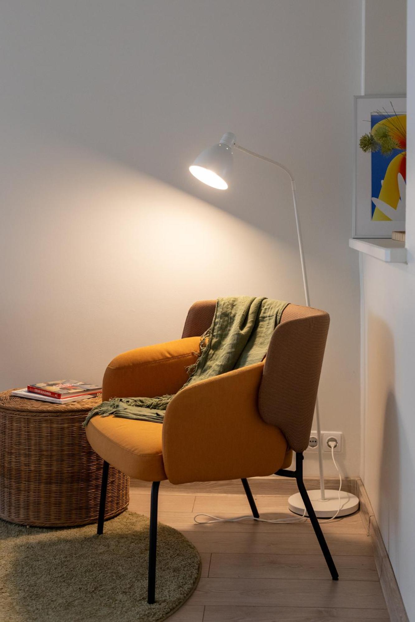 Homey Apartment Vilnius