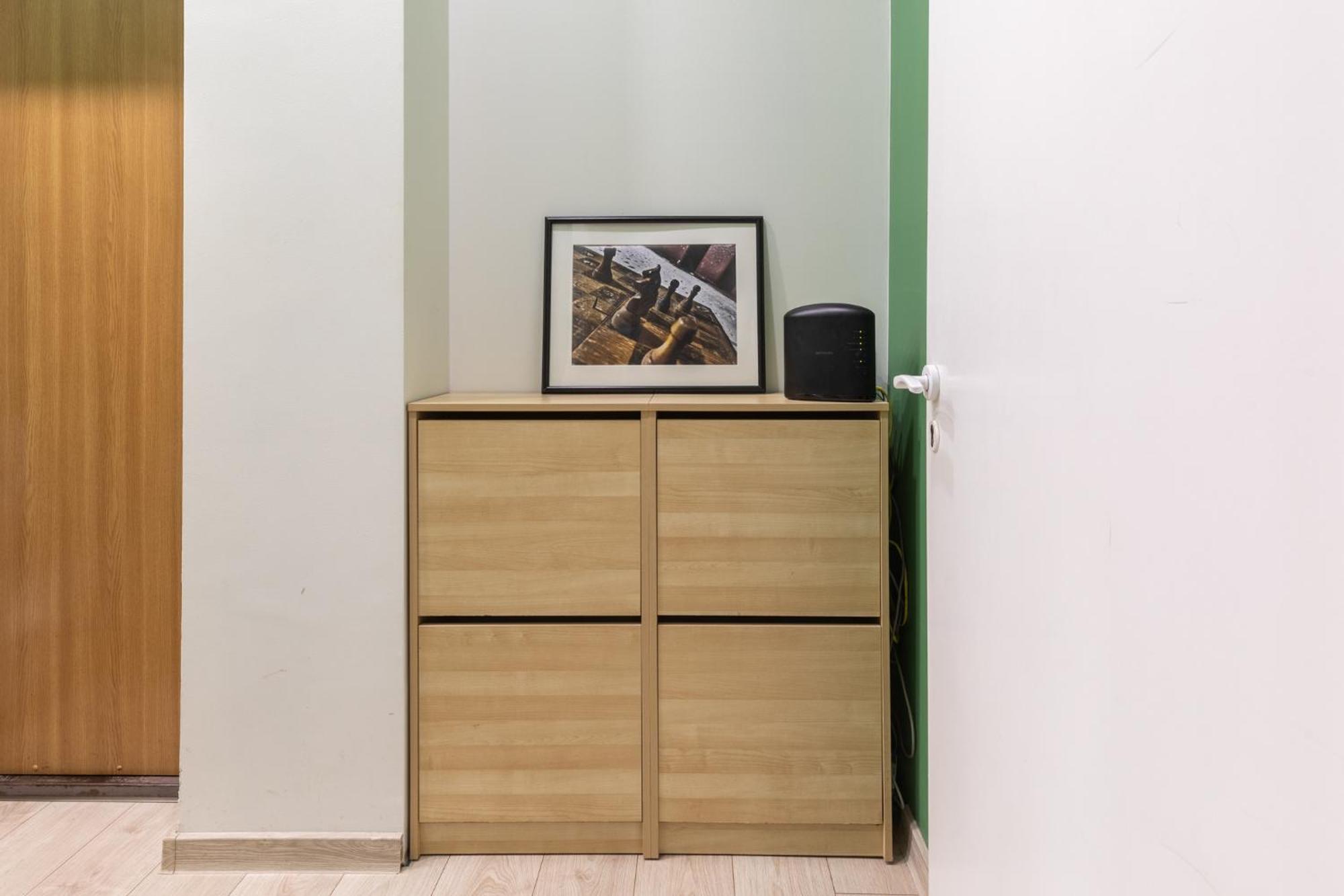 Apartment Homey Vilnius